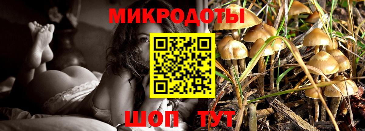 Псилоцибиновые грибы Psilocybine cubensis Мыски